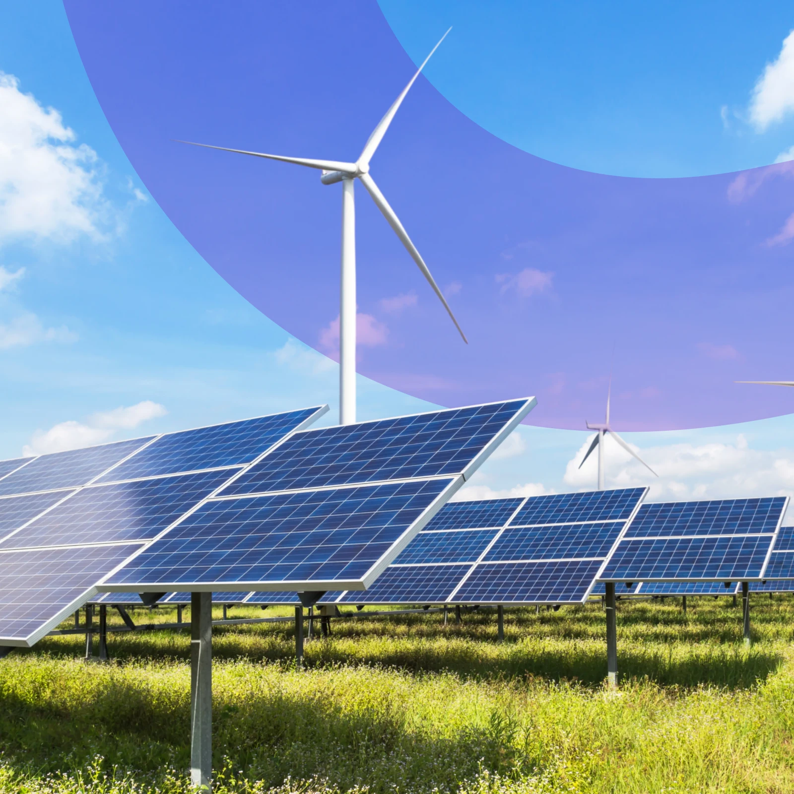 12-market-confidence-rebuilt-for-a-solar-plant-facing-repeated-curtailments